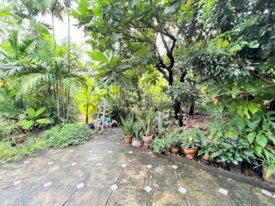 For SaleLandBangna, Bearing, Lasalle : Land for sale, beautiful plot, garden style, Sukhumvit 107 (Soi Bearing 19), good location, accessible from many ways, Srinakarin, Bangna, Sukhumvit