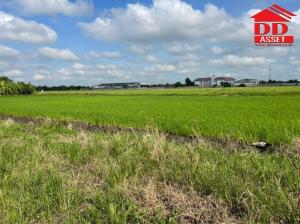 For SaleLandPathum Thani,Rangsit, Thammasat : Land for sale, Lam Luk Ka Khlong 6, area 1-3-55 rai, suitable for warehouse / house building, near Thanyaburi Provincial Court.