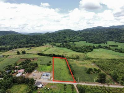 For SaleLandPak Chong KhaoYai : Land for sale in Khao Yai, Mu Si Subdistrict, Pak Chong District, 5 rai, good road, beautiful view, great value.