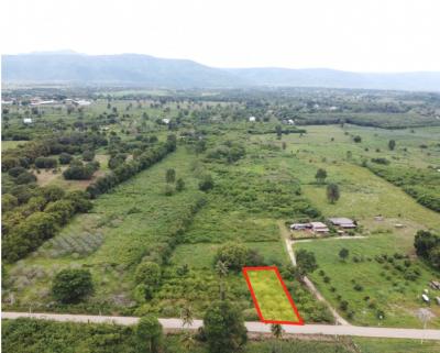 For SaleLandPak Chong KhaoYai : Land for sale in Khao Yai, Moo Si Subdistrict, Pak Chong District, 205 square meters, the best location in this area.