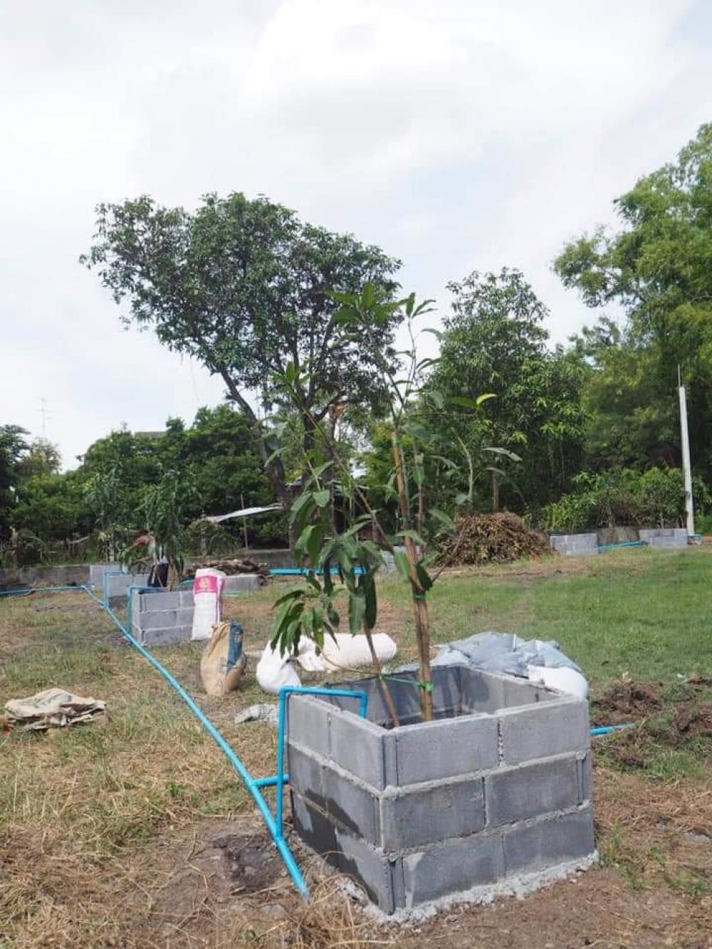 ขายที่ดินปราจีนบุรี : ที่ดินสวยทำเลดีมาก​ 219 ตร.ว.