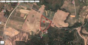 For SaleLandPak Chong KhaoYai : Land for sale in Sopok Khao Yai, 5 rai.