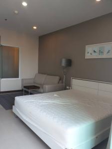 ขายคอนโดพระราม 9 เพชรบุรีตัดใหม่ RCA : ⚡️ Rare Item Room ⚡️ Supalai Premier Asoke | MRT Phetchaburi | #10452239AHL10
