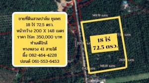 For SaleLandChumphon : Land for sale in Chumphon, big plot, beautiful square, near the highway