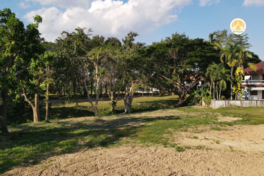 For SaleLandChiang Mai : Selling land below market price beautiful plot Flora Ville Doi Saket District Chiang Mai Province shady with big trees in the village next to the mine