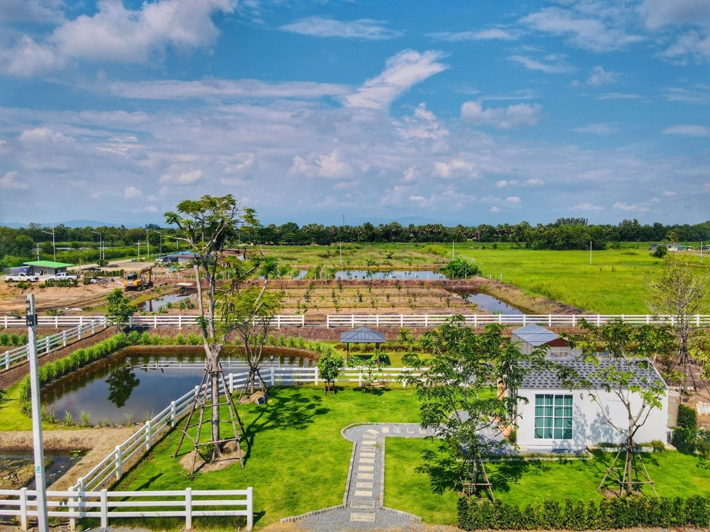 For SaleLandPathum Thani,Rangsit, Thammasat : Cannaville 2 Rangsit - Nakhon Nayok project, only the last 8 plots left...Urgent!!! Starting price 2.49 million baht