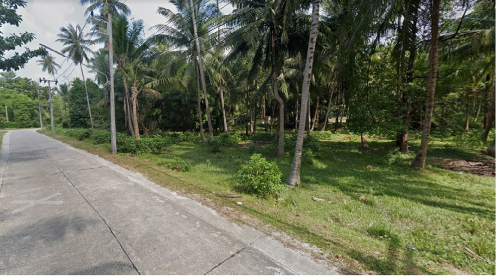 ขายที่ดินสมุย สุราษฎร์ธานี : ขายที่ดิน 8 ไร่ 65 ตรว.  ต.เกาะพะงัน อ.เกาะพะงัน จ.สุราษฏร์ธานี