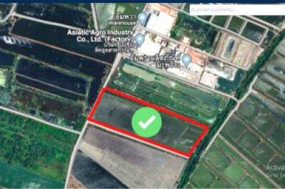 For SaleLandSamut Songkhram : Quick sale, 50 rai of land, Amphawa, only 1.5 km from the main road, Samut Songkhram Province, selling cheap at only 1.3 million per rai.