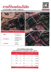 For SaleLandChiang Rai : Land with teak plantation I, best price I, quick sale I, Tha Khao Phen Subdistrict, Mae Chan District, Chiang Rai Province I 094-425-2897 I