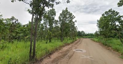 For SaleLandLampang : Big plot of land for sale, good location, can invest in business, close to Thammasat University, Lampang Center