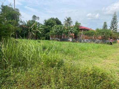 For SaleLandPattaya, Bangsaen, Chonburi : Land for sale, 100 square wa, Bang Saray, near Nong Nooch Tropical Garden, good price
