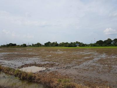 For SaleLandPathum Thani,Rangsit, Thammasat : Land for sale 6 rai, Bang Khu Wat Subdistrict, Mueang , Pathum Thani.