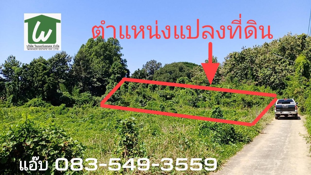 For SaleLandChai Nat : Land for sale in Sankhaburi Phraek Sriracha Subdistrict, Sankhaburi District, Chainat Province, 174 sq m.