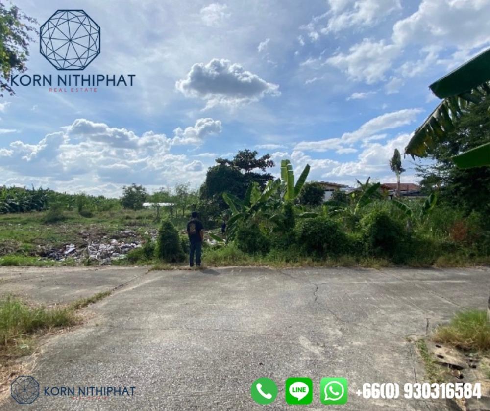 For SaleLandYothinpattana,CDC : Land for sale 1 rai 40 square wa, Soi Ramintra 42.