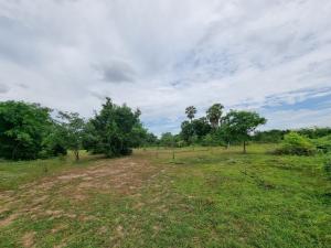 For SaleLandSuphan Buri : ⚡ Beautiful plot of land for sale, cheap price, next to the road on 2 sides, Don Chedi Subdistrict, Don Chedi District, Suphan Buri Province, size 3 rai ⚡