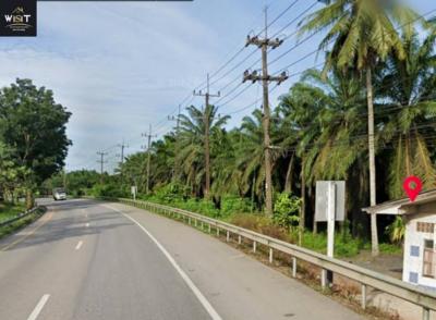 For SaleLandChumphon : Palm plantation land for sale, 5 rai, very good location, next to Petchkasem Road (on the upside), Tha Sae District, Chumphon Province.