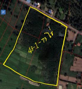 For SaleLandBuri Ram : Urgent sale!!!!! Land with houses, area 43-3-1-73 rai, near the municipality, Lak Khet, Mueang Buriram District, Buriram Province, width 197 meters, depth 292 meters, beautiful square-shaped land, near the community, water and electricity, accessible to