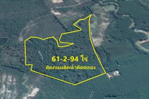 For SaleLandRayong : Big plot of land for sale, cheap. For planting carbon credit forest 61 rai, Klaeng district, Rayong province.