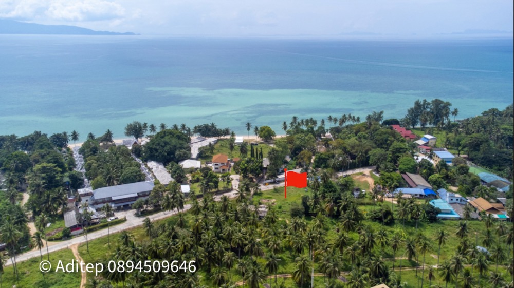 For SaleLandKoh Samui, Surat Thani : Land for sale, Koh Phangan, Surat Thani, title deed, 1 rai, next to the beach road, near the sea, near Thong Sala Pier.