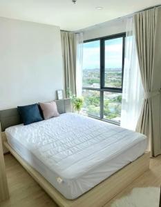 For RentCondoBangna, Bearing, Lasalle : IDEO O2 Urgent rent !! The room is very beautiful. You can ask for more information.