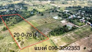 ขายที่ดินหนองคาย : ขายที่ดินทำการเกษตร