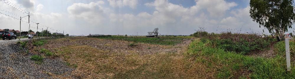 For SaleLandAyutthaya : Land behind Rojana Industrial Park, Ayutthaya