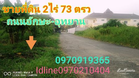 ขายที่ดินปิ่นเกล้า จรัญสนิทวงศ์ : ขาย ที่ดิน ถนนอักษะ-อุทยานที่ดินถนนอักษะ อุทยาน 2 ไร่ 73 ตร.วา ถนนกว้าง เหมาะสร้างที่พักอาศัย อาคารสำนักงาน