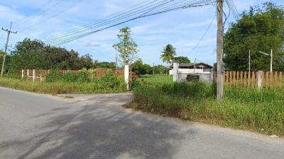 For SaleLandPak Chong KhaoYai : Land for sale in Khao Yai, Nong Sarai Subdistrict, Pak Chong District, 40 rai 3 ngan 54 square wah, beautiful