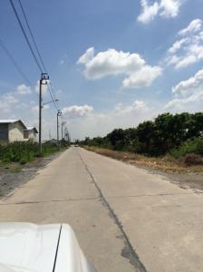 For SaleLandLadkrabang, Suwannaphum Airport : Land for sale, 29 rai, Lat Krabang-Luang Phaeng-Chachoengsao Road. Near the motorway and Siam Premium Outlet. Can be accessed both via motorway and via Soi Wat Bua Roi The entrance of the alley at Terdthai market On the side of Luang Phaeng-Lat Krabang Ro