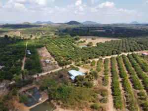 ขายที่ดินจันทบุรี : ขายที่ดินสวนลำไย พร้อมบ้านพัก (ต.ปะตง อ.สอยดาว จ.จันทบุรี) ติดถนน รวมพื้นที่ 37 ไร่