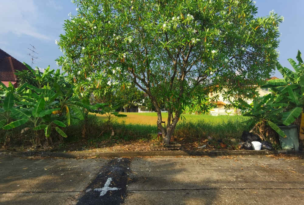 For SaleLandPinklao, Charansanitwong : Vacant land in Krisada Nakorn housing estate 20