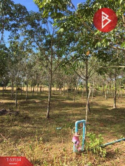 For SaleLandNakhon Phanom : Rubber plantation land for sale with tapping, area 5 rai 1 ngan 20.0 square wah, Kham Toey, Nakhon Phanom, good location.