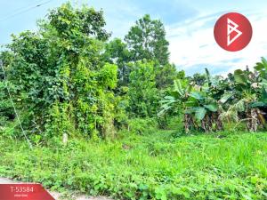 For SaleLandTrat : Land for sale, area 8 rai 3 ngan 50.9 square wah, Khlong Yai, Trat, near Mai Rut Beach.