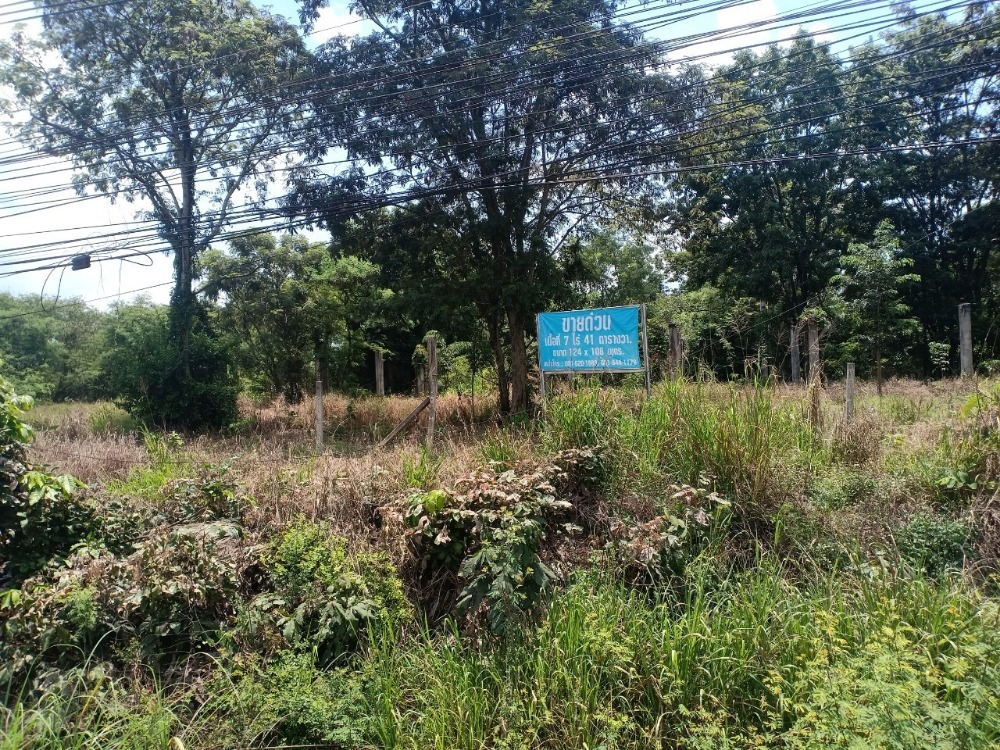 For SaleLandPrachin Buri : Land For Sale.