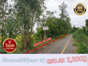 For SaleLandNakhon Nayok : Land for sale, the tree market, Khlong 15 Ongkharak (tree market road), area 5-0-30 rai.