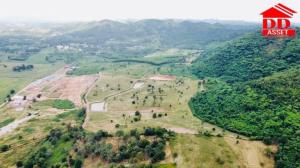 For SaleLandPak Chong KhaoYai : Land for sale in Khao Yai, Pak Chong, mountain view, area 89-2-0 rai, total land of 5 deeds, offering price lower than cost price.