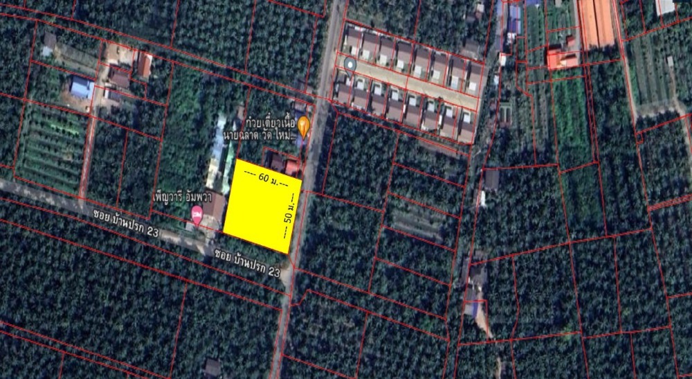 For SaleLandSamut Songkhram : Land for sale, coconut plantation, next to the corner road, Samut Songkhram, land size 1-3-36.5 rai (736.50 sq m.)