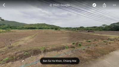 For SaleLandChiang Mai : Land for sale, hot springs, large plot, Mae On - San Kamphaeng