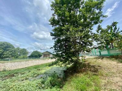 For SaleLandKanchanaburi : Super special discount, land for sale near Robinson, Kanchanaburi Great price, whether investing or living by yourself.