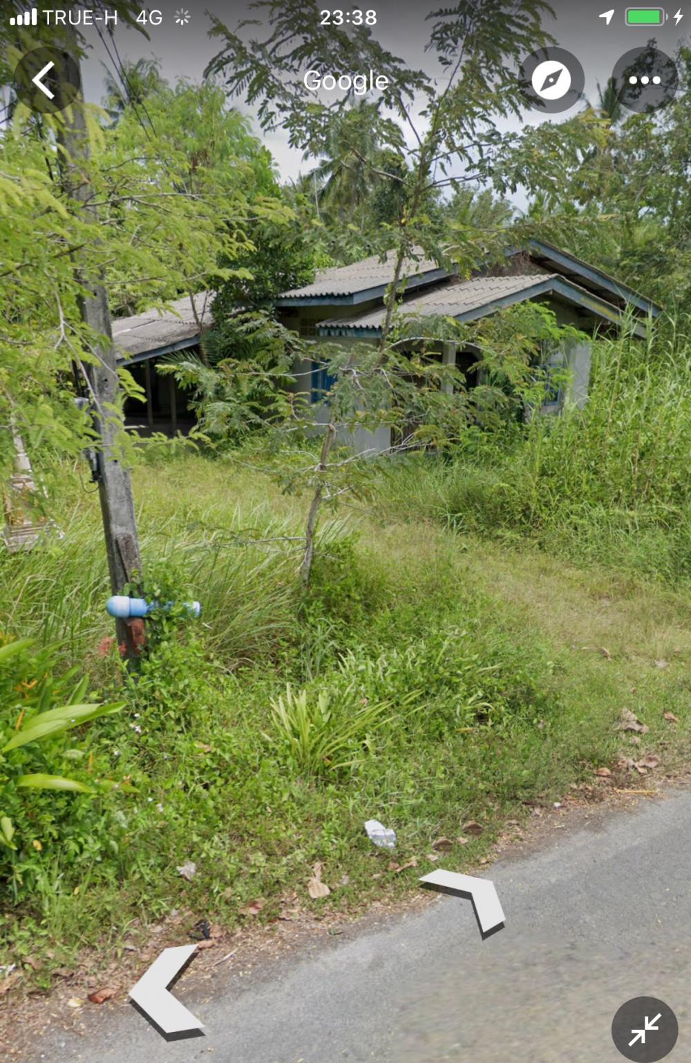 ขายบ้านนครศรีธรรมราช : ขายขาดทุนบ้านหลังใหญ่พร้อมที่ดิน1ไร่2งาน29ตรว.(1ไร่2งาน29ตรว.)หน้าวัดสามัคยาราม ร่อนพิบูลย์ นครศรีธรรมราช.