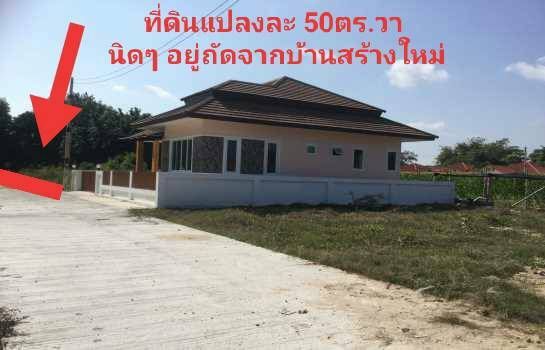ขายที่ดินระยอง : ขายที่ดินเปล่า2แปลง ซอยประชุมมิตร16 บ้านฉาง เหมาะสร้างบ้านอยู่อาศัย บรรยากาศดี