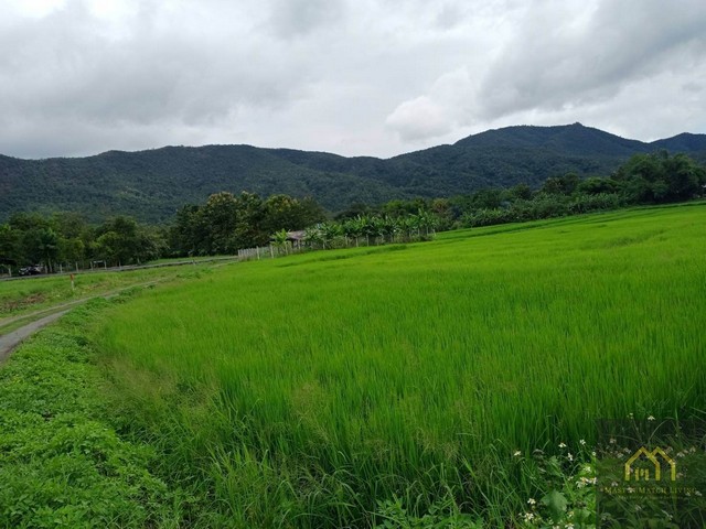For SaleLandChiang Mai : AE66006 Land for sale, 360 degree mountain view, 1-3 rai, Mae On, Chiang Mai, no need to fill in good water, good soil, keep only the price increases.