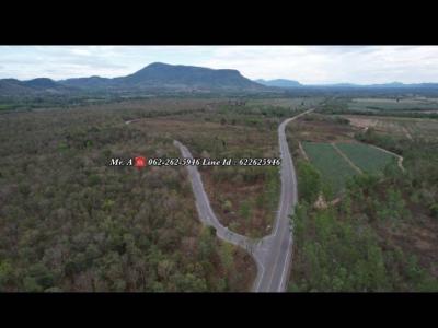 For SaleLandCha-am Phetchaburi : Land for sale in Phetchaburi Nong Ya Plong, Red Garuda title deed, next to the road, mountain view
