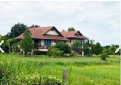 For SaleLandChiang Mai : Land with buildings. 
6 rai 2 ngan 31 square
(6-2-31 rai) San Kampheng District, Chiang Mai Province.