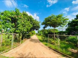 ขายที่ดินร้อยเอ็ด : ขายที่ดิน ไร่ นา สวนผสม 5 ไร่ พร้อมบ้าน เมืองหงส์  จตุรพักตรพิมาน  ร้อยเอ็ด