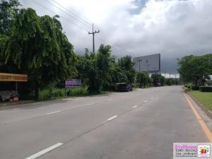 For SaleLandPhitsanulok : Land for sale next to Singhawat Road, Phitsanulok, near Central Phitsanulok, size 3-3-79 rai, price 60 million baht, average only 38,000 baht per square wah, next to the main road, 6 lanes, width 42 meters, depth 113 meters.