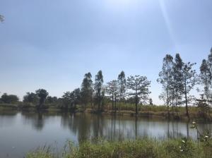 For SaleLandPhetchabun : Beautiful, large plot, 53 rai, Phetchabun, next to the main road, can make a resort
