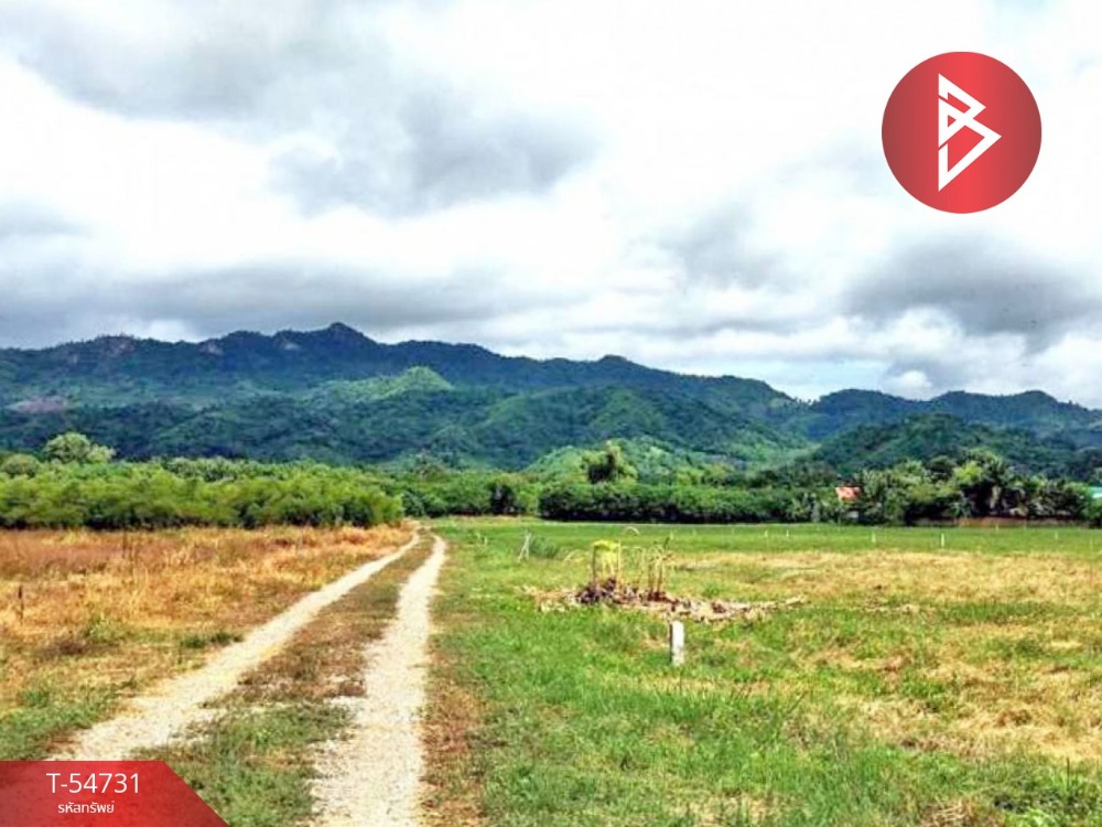 For SaleLandTrat : Land for sale, area 4 rai 2 ngan 50 square wah, Khao Saming, Trat.