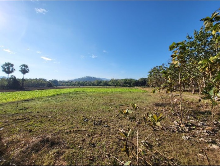 For SaleLandLampang : land for sell on Lampang province