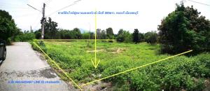 For SaleLandPattaya, Bangsaen, Chonburi : Land for sale 200 square wa., 500 meters from the motor road, land size 25x30m, Nong Ri Subdistrict, Mueang Chon Buri District